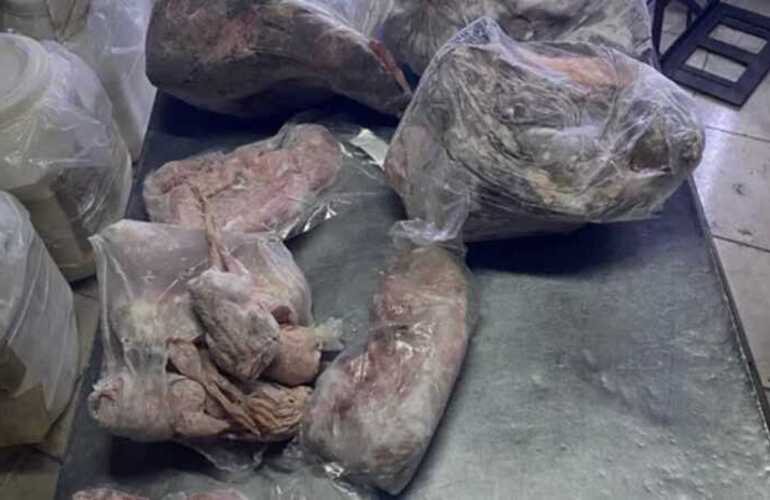 Imagen de Clausuraron un local de comidas clandestino que vendía carne de carpincho, yacaré y ranas