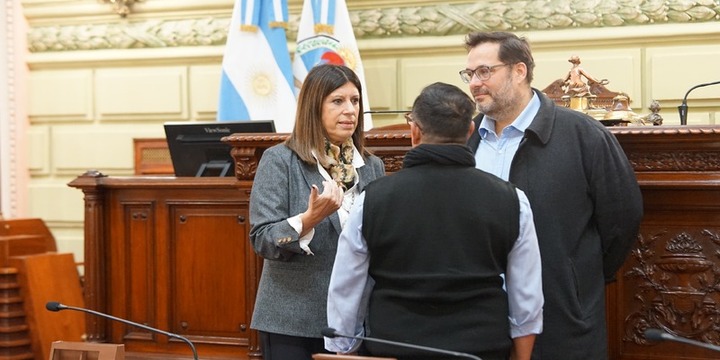 Imagen de Clara García supervisó las tareas de adecuación realizadas en la Cámara Baja para albergar a la Convención Constituyente