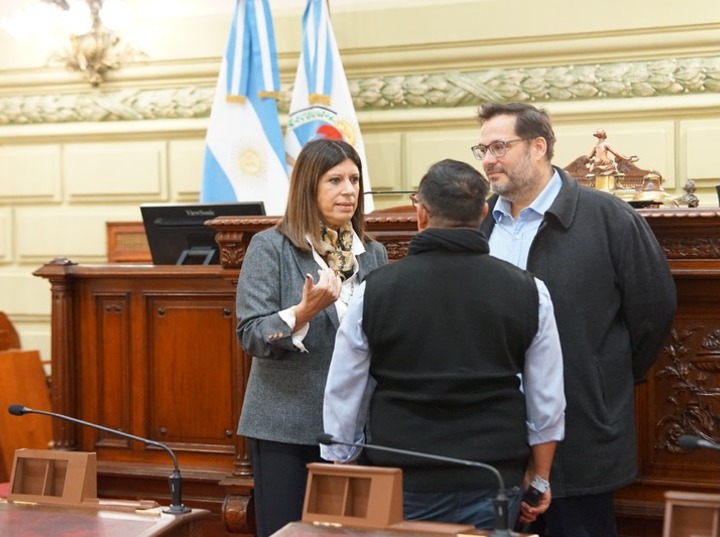 Imagen de Clara García supervisó las tareas de adecuación realizadas en la Cámara Baja para albergar a la Convención Constituyente