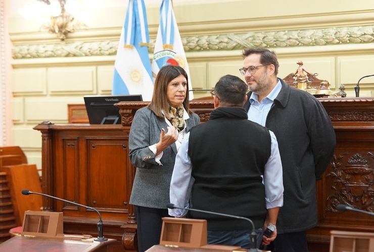 Imagen de Clara García supervisó las tareas de adecuación realizadas en la Cámara Baja para albergar a la Convención Constituyente