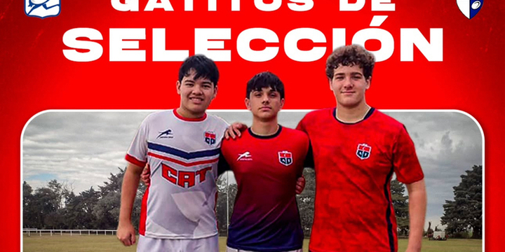 Imagen de Rugby: 3 jugadores de Talleres fueron convocados al Seleccionado de Desarrollo