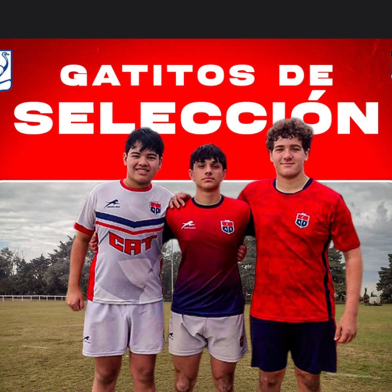 Imagen de Rugby: 3 jugadores de Talleres fueron convocados al Seleccionado de Desarrollo