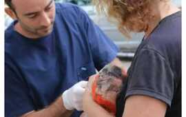 La actividad tendrá lugar de 10 a 15hs.