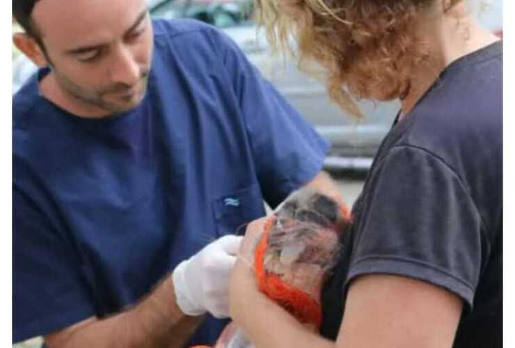 La actividad tendr&aacute; lugar de 10 a 15hs.