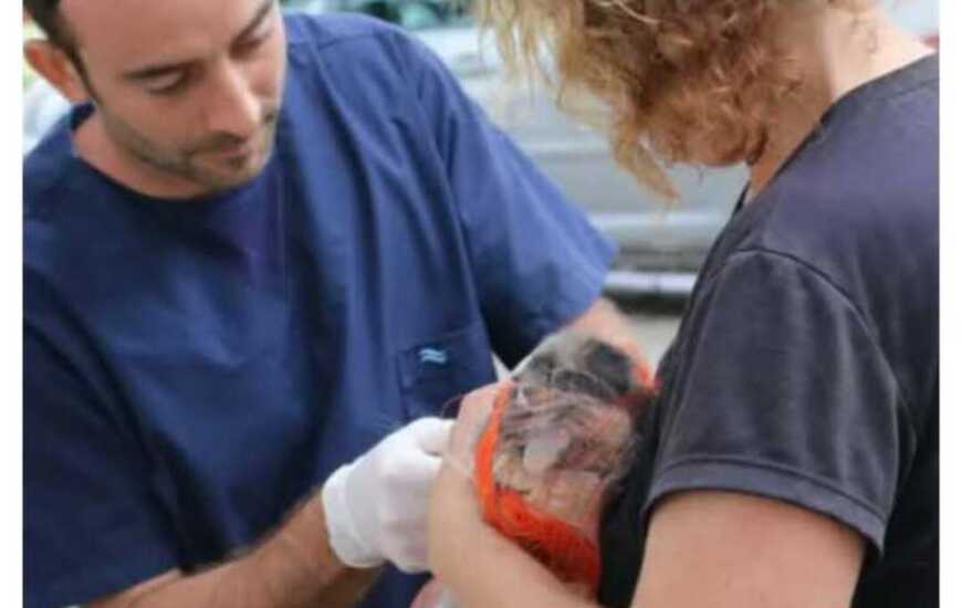 La actividad tendr&aacute; lugar de 10 a 15hs.