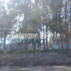 El refugio funcionó durante años en Ruta 21 y acceso norte, en el ingreso del ex basural.
