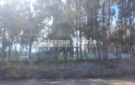 El refugio funcionó durante años en Ruta 21 y acceso norte, en el ingreso del ex basural.