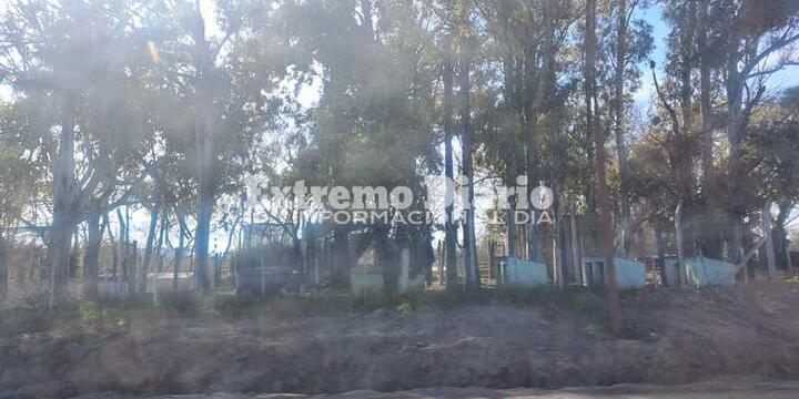 El refugio funcionó durante años en Ruta 21 y acceso norte, en el ingreso del ex basural.