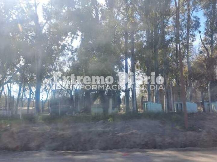 El refugio funcionó durante años en Ruta 21 y acceso norte, en el ingreso del ex basural.