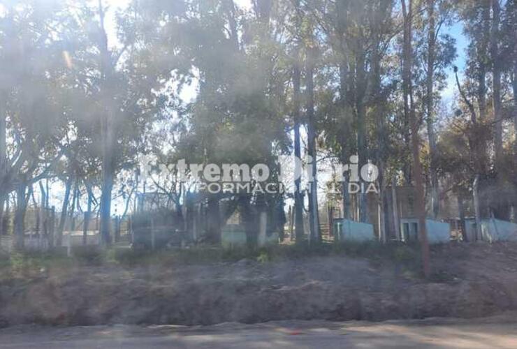 El refugio funcion&oacute; durante a&ntilde;os en Ruta 21 y acceso norte, en el ingreso del ex basural.