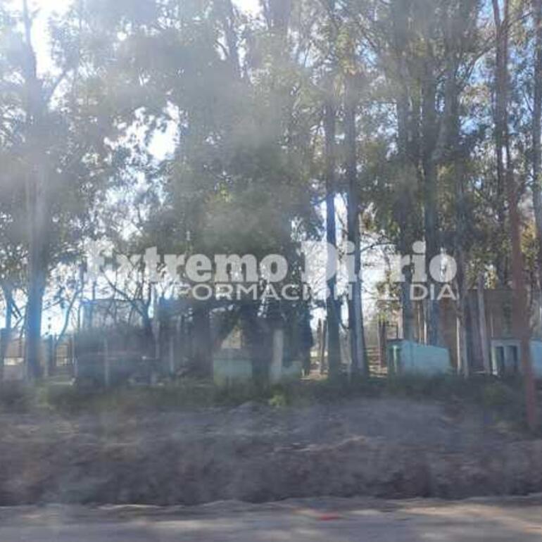 El refugio funcionó durante años en Ruta 21 y acceso norte, en el ingreso del ex basural.