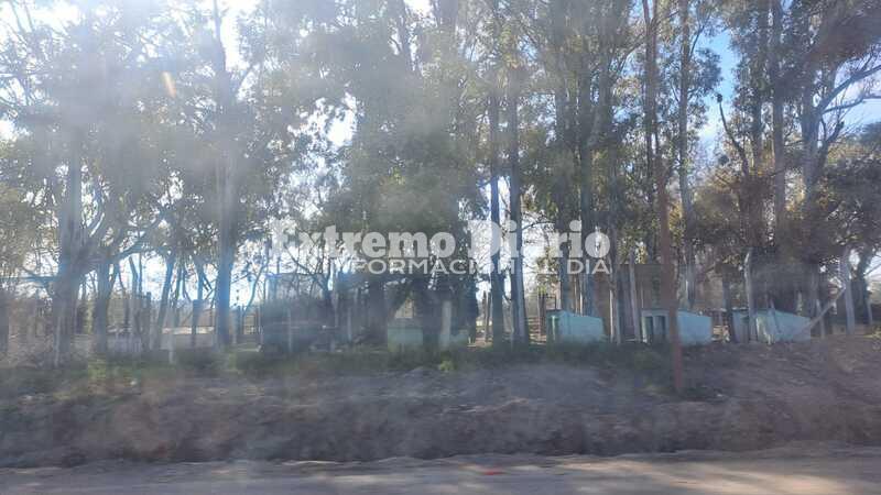 El refugio funcionó durante años en Ruta 21 y acceso norte, en el ingreso del ex basural.