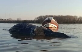 Foto: captura de video