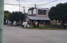 Imagen de ¿Qué hacer ante la presencia de caballos sueltos en la vía pública?