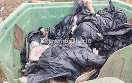 Imagen de Un camión arrojó carne en un contenedor ubicado en Ruta 21 y Calle Pública