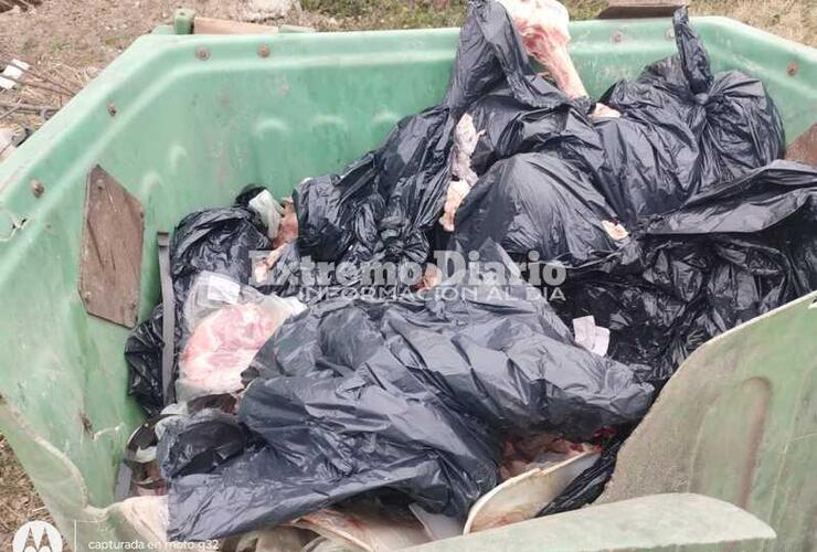 Imagen de Un camión arrojó carne en un contenedor ubicado en Ruta 21 y Calle Pública