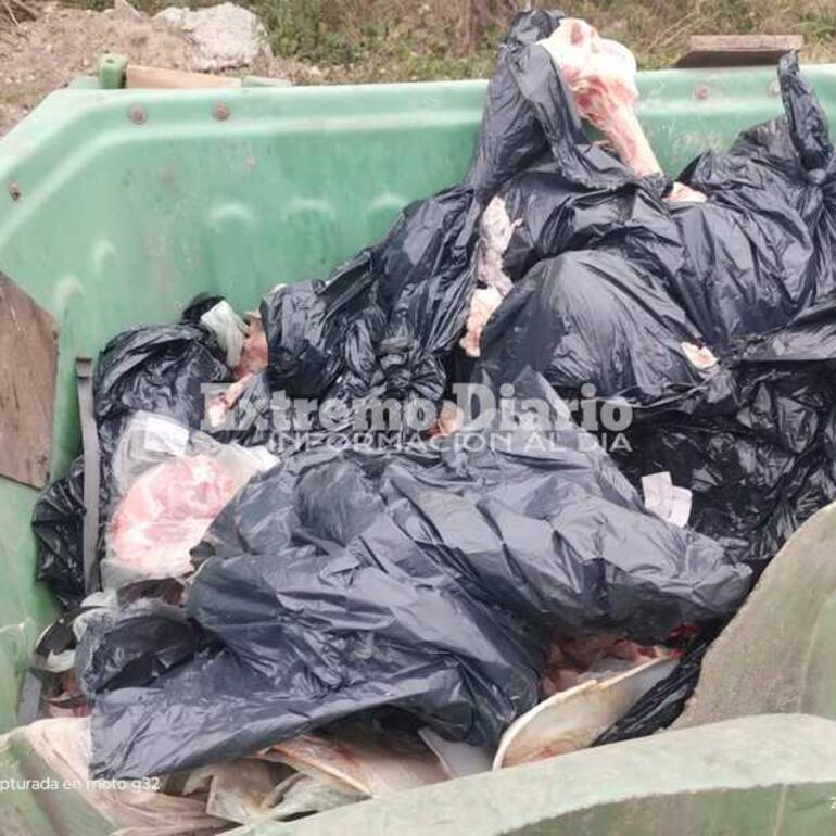 Imagen de Un camión arrojó carne en un contenedor ubicado en Ruta 21 y Calle Pública