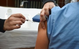 Imagen de Dengue: recomiendan vacunarse en invierno para alcanzar la inmunización completa antes del verano