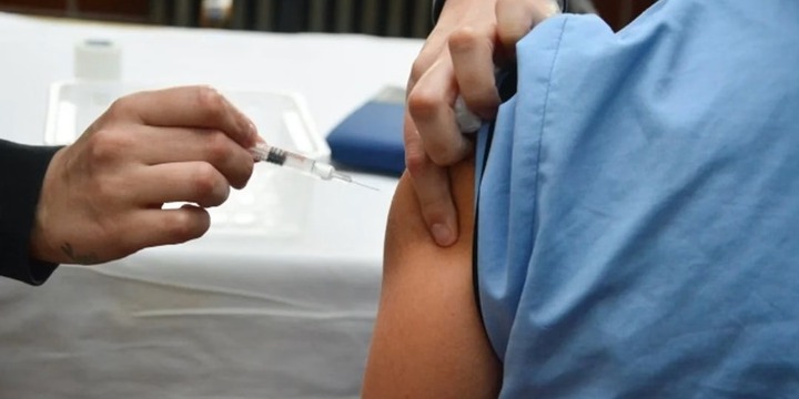 Imagen de Dengue: recomiendan vacunarse en invierno para alcanzar la inmunización completa antes del verano