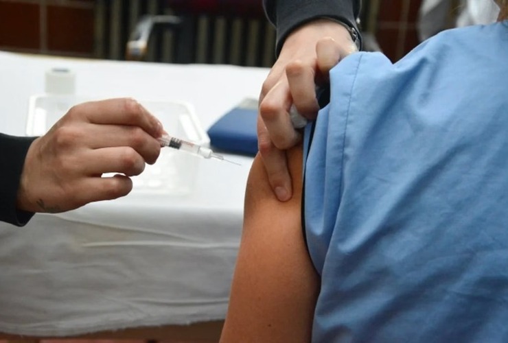 Imagen de Dengue: recomiendan vacunarse en invierno para alcanzar la inmunización completa antes del verano