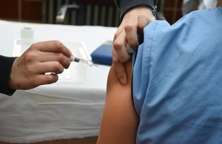 Imagen de Dengue: recomiendan vacunarse en invierno para alcanzar la inmunización completa antes del verano