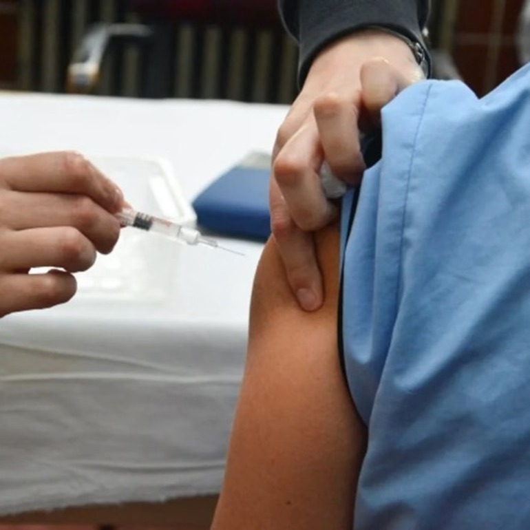 Imagen de Dengue: recomiendan vacunarse en invierno para alcanzar la inmunización completa antes del verano
