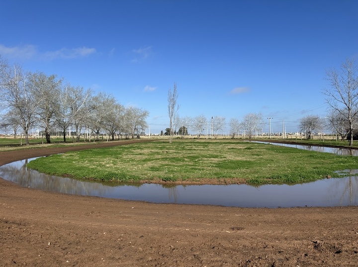 Imagen de Pista de Atletismo: barro, agua estancada y sin actividad