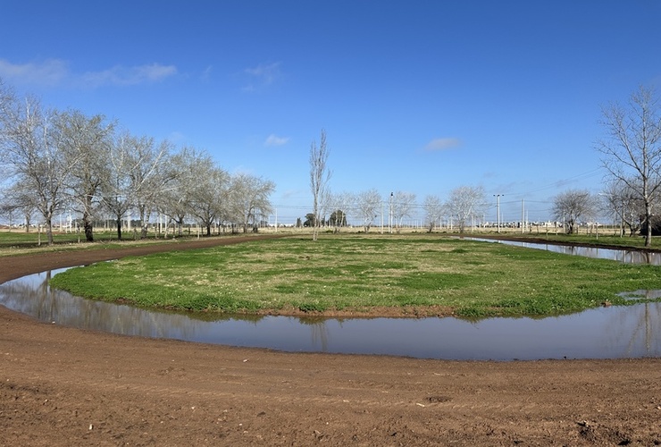 Imagen de Pista de Atletismo: barro, agua estancada y sin actividad