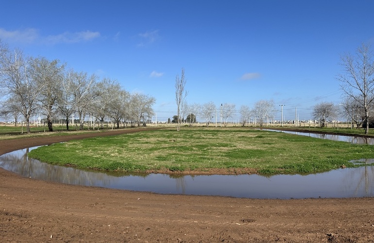 Imagen de Pista de Atletismo: barro, agua estancada y sin actividad