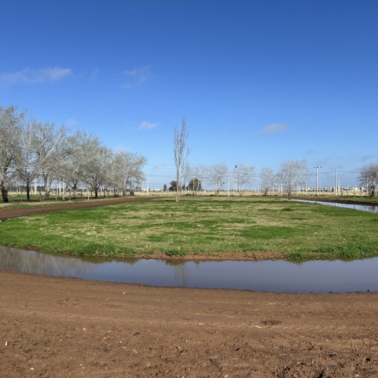 Imagen de Pista de Atletismo: barro, agua estancada y sin actividad