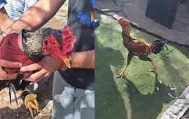 La intervención policial permitió detener a los sospechosos y rescatar a los animales.