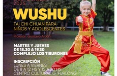 Imagen de Se abren las inscripciones para el taller de Wushu en Arroyo Seco
