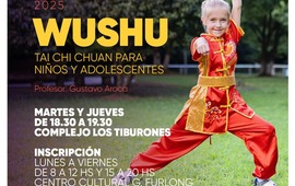 Imagen de Se abren las inscripciones para el taller de Wushu en Arroyo Seco