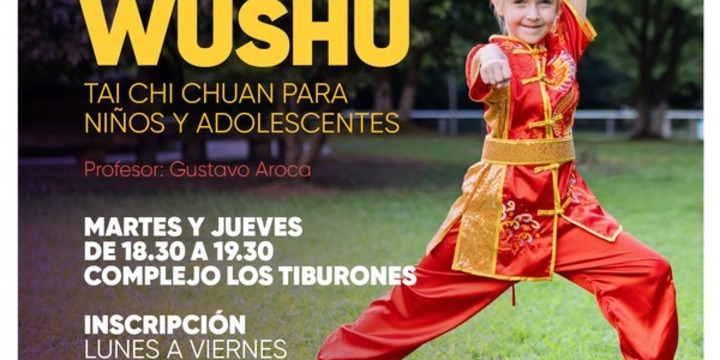 Imagen de Se abren las inscripciones para el taller de Wushu en Arroyo Seco