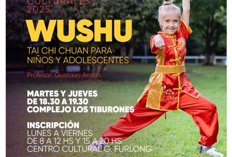 Imagen de Se abren las inscripciones para el taller de Wushu en Arroyo Seco