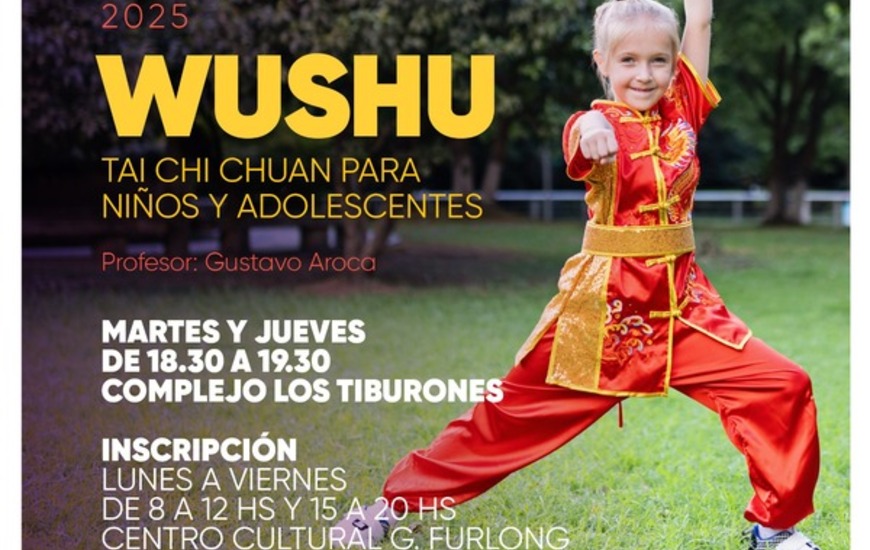 Imagen de Se abren las inscripciones para el taller de Wushu en Arroyo Seco