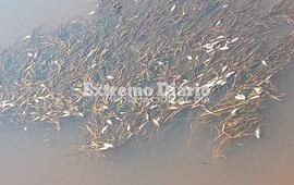 Una de las im&aacute;genes tomadas el pasado d&iacute;a s&aacute;bado.