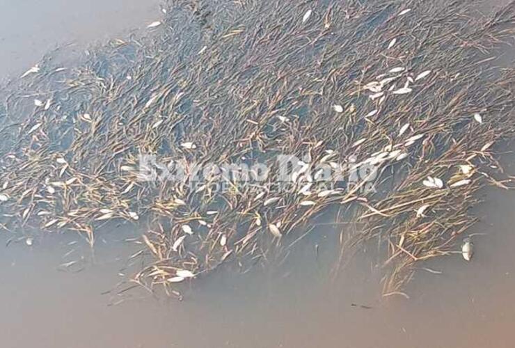 Una de las imágenes tomadas el pasado día sábado.