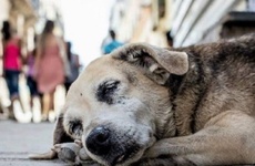 Foto: Ilustrativa