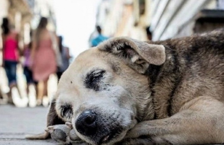 Foto: Ilustrativa
