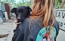 Imagen de Bicheros organiza nuevas campañas de castración gratuita en Arroyo Seco