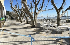 Imagen de El Rowing Club inauguró su nuevo patio central