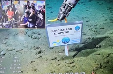 Imagen de «Gracias por el apoyo»: el cartel de los científicos del Conicet en el fondo del mar que emocionó a todos