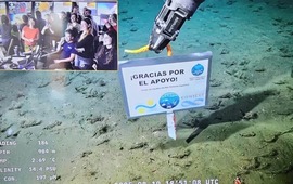Imagen de &laquo;Gracias por el apoyo&raquo;: el cartel de los cient&iacute;ficos del Conicet en el fondo del mar que emocion&oacute; a todos