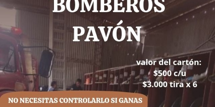 Imagen de Bingo Solidario de Bomberos Voluntarios de Pavón