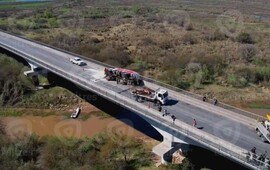 Imagen de Tr&aacute;nsito asistido en el puente Rosario-Victoria: cami&oacute;n con ganado choc&oacute; con una chata y una chica fue embestida por un toro