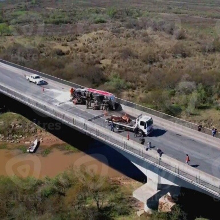 Imagen de Tránsito asistido en el puente Rosario-Victoria: camión con ganado chocó con una chata y una chica fue embestida por un toro
