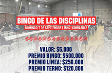 Imagen de Nuevo Bingo de las Disciplinas en Talleres