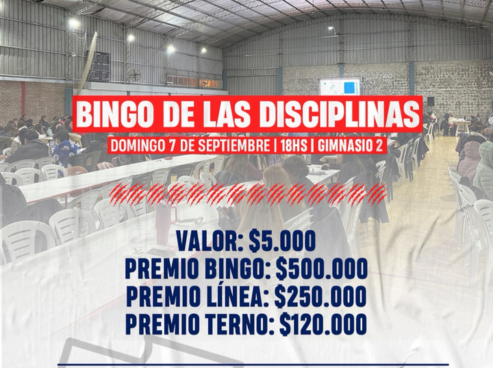 Imagen de Nuevo Bingo de las Disciplinas en Talleres