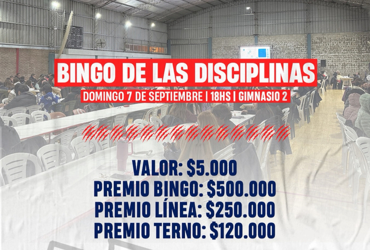 Imagen de Nuevo Bingo de las Disciplinas en Talleres